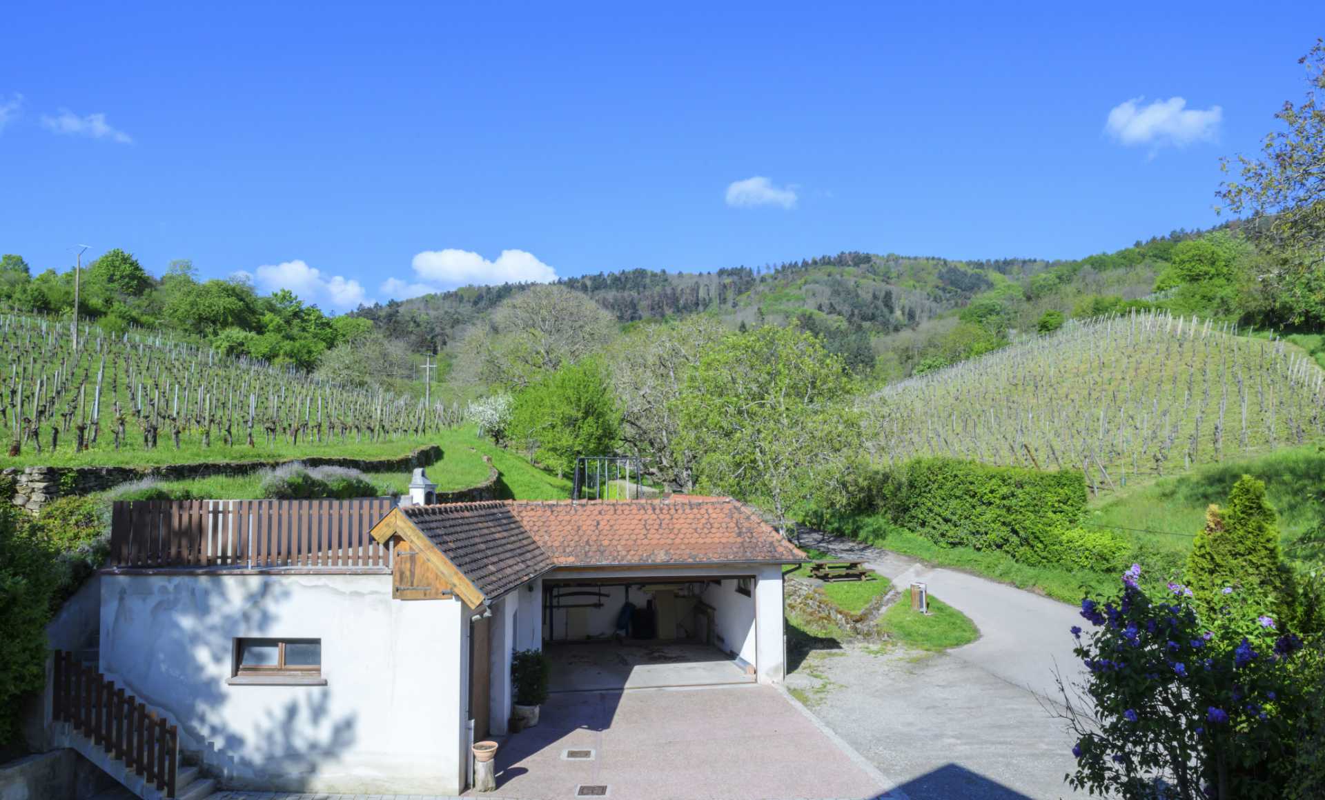 Gites Ziegler chez le vigneron